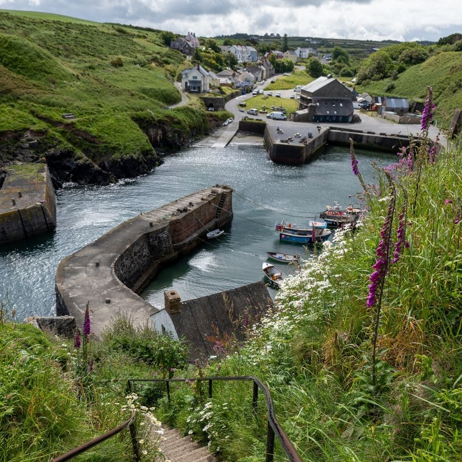 Roch Castle Hotel — interior and exterior view 22