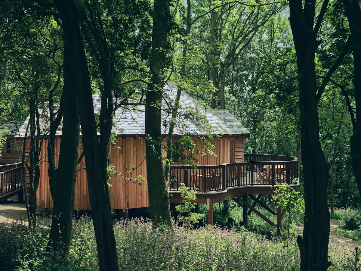 Wildhive Callow Hall — interior and exterior view 4