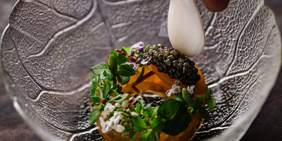 Forest Side — interior and exterior view 10