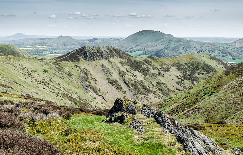 Fishmore Hall — interior and exterior view 46