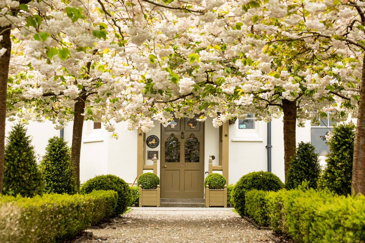 Grove of Narberth — Narberth, Pembrokeshire