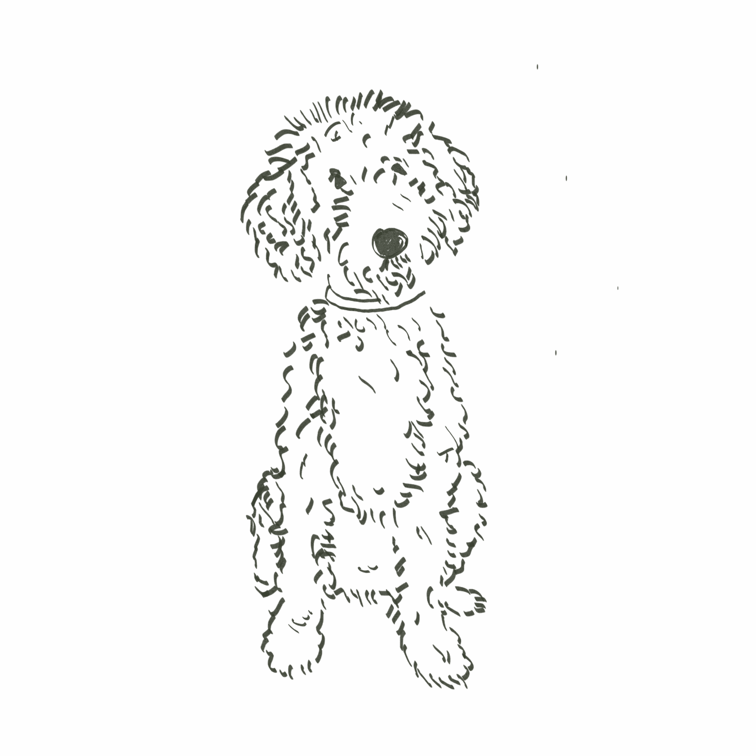 Todthatch — interior and exterior view 34