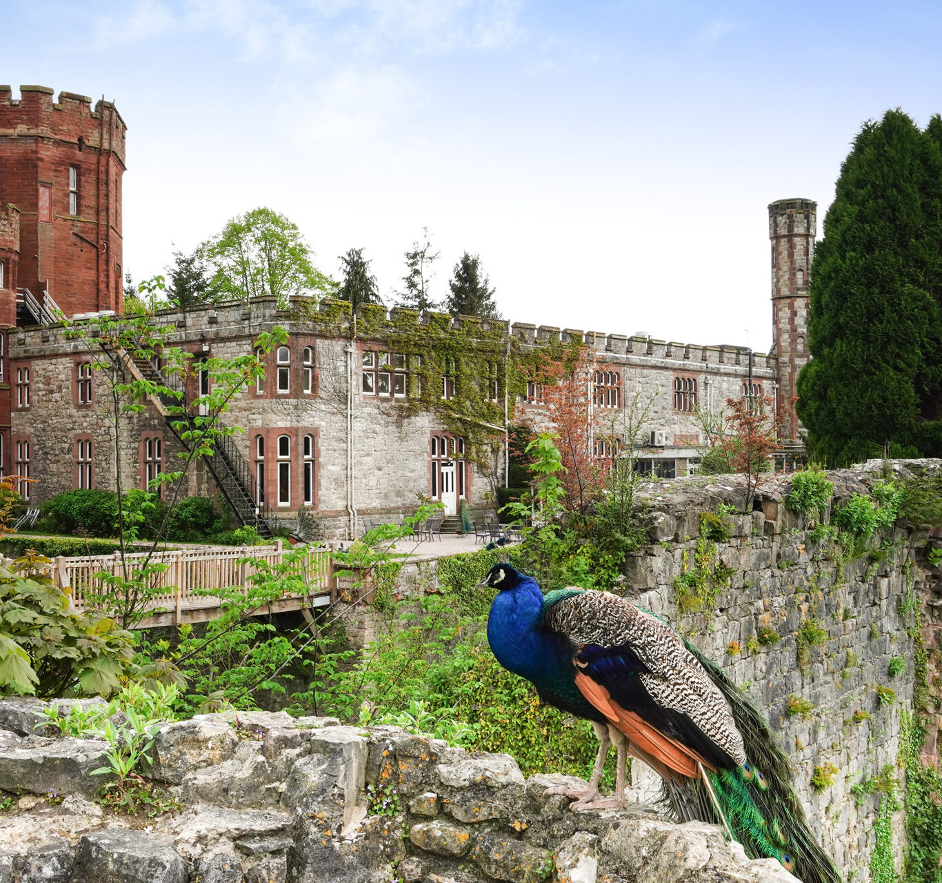 Ruthin Castle Hotel & Spa — interior and exterior view 7