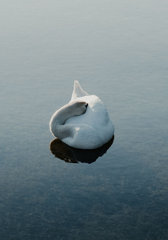 Penally Abbey Hotel & Restaurant — interior and exterior view 28