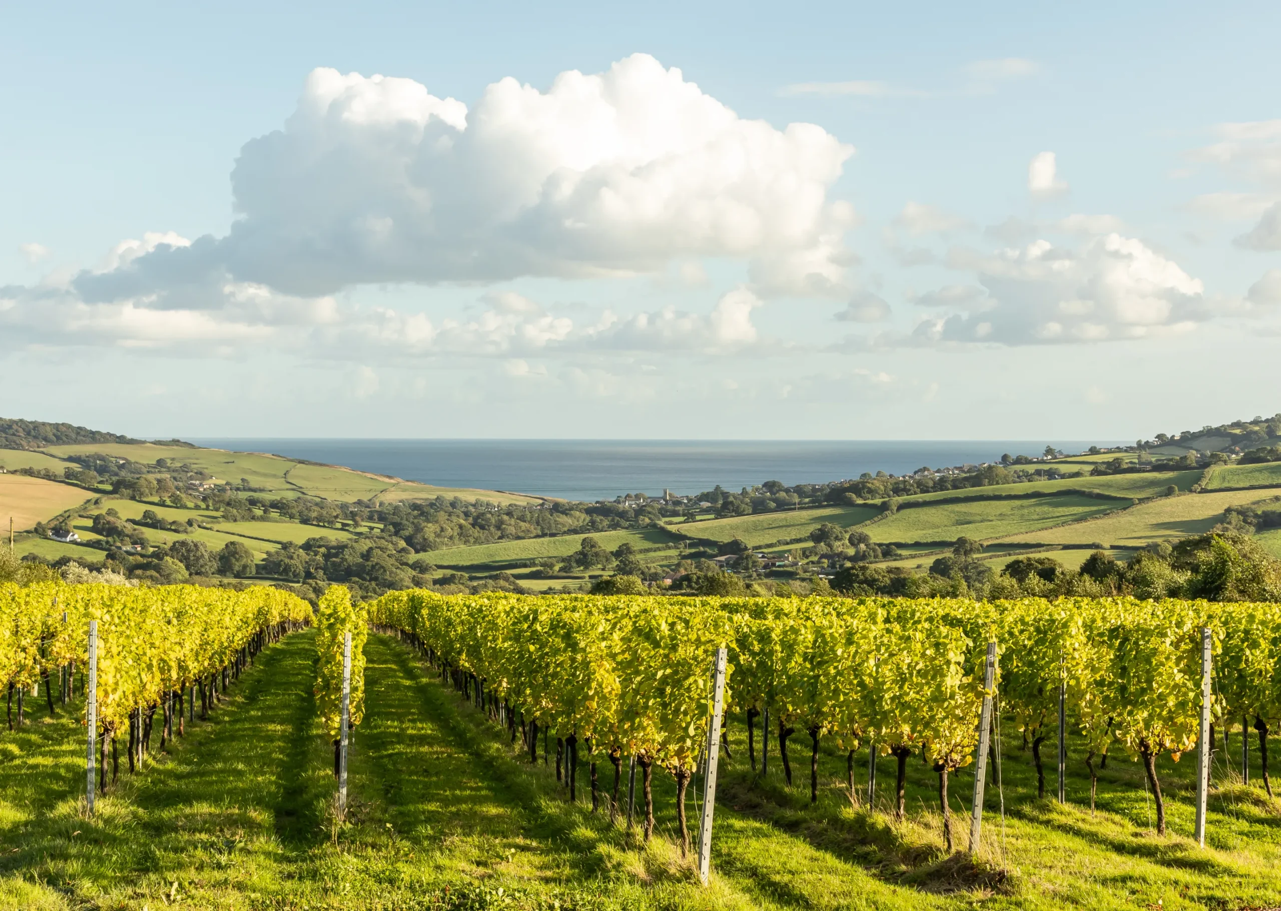 Louma Country Hotel — interior and exterior view 15