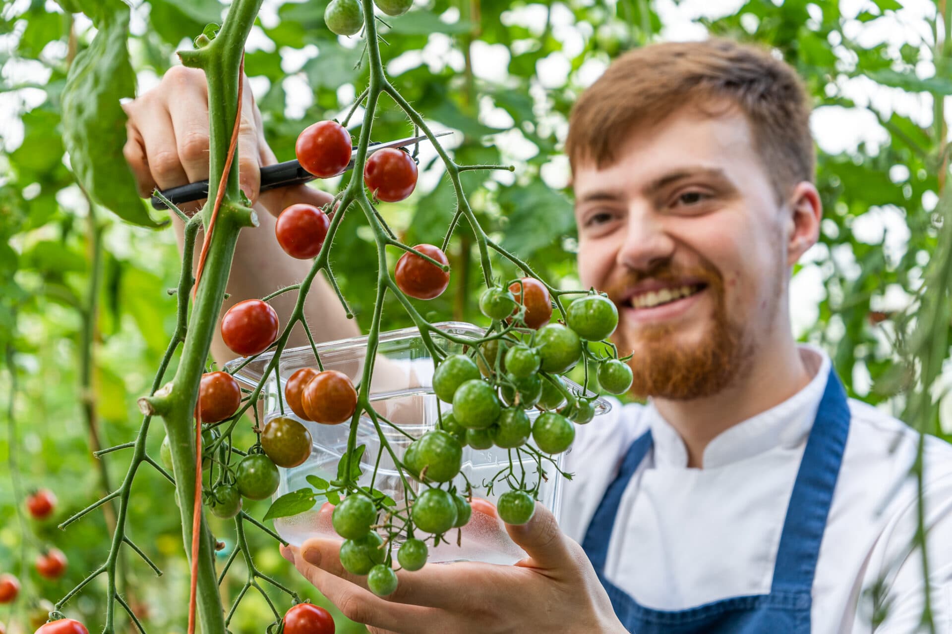 Grove of Narberth — interior and exterior view 15