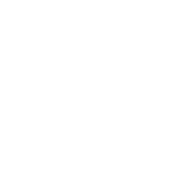 The Lime Tree Hotel — interior and exterior view 11