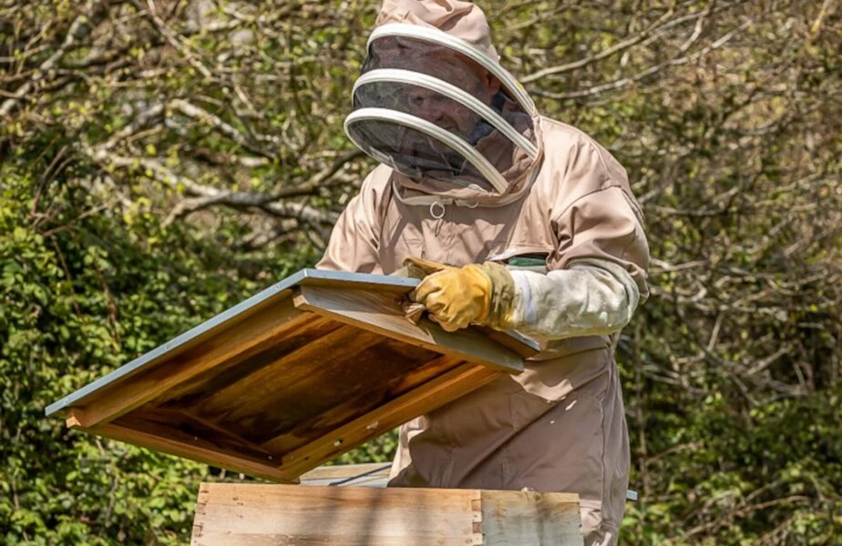 Louma Country Hotel — interior and exterior view 26