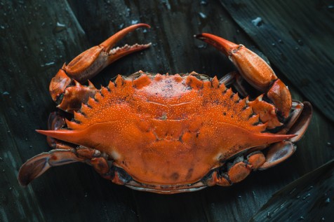 Ellesmera Mill — interior and exterior view 16