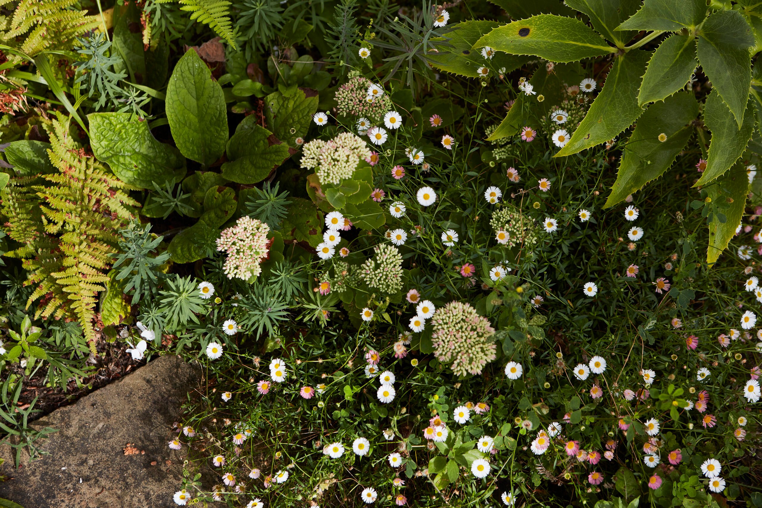 Updown Farmhouse — interior and exterior view 17