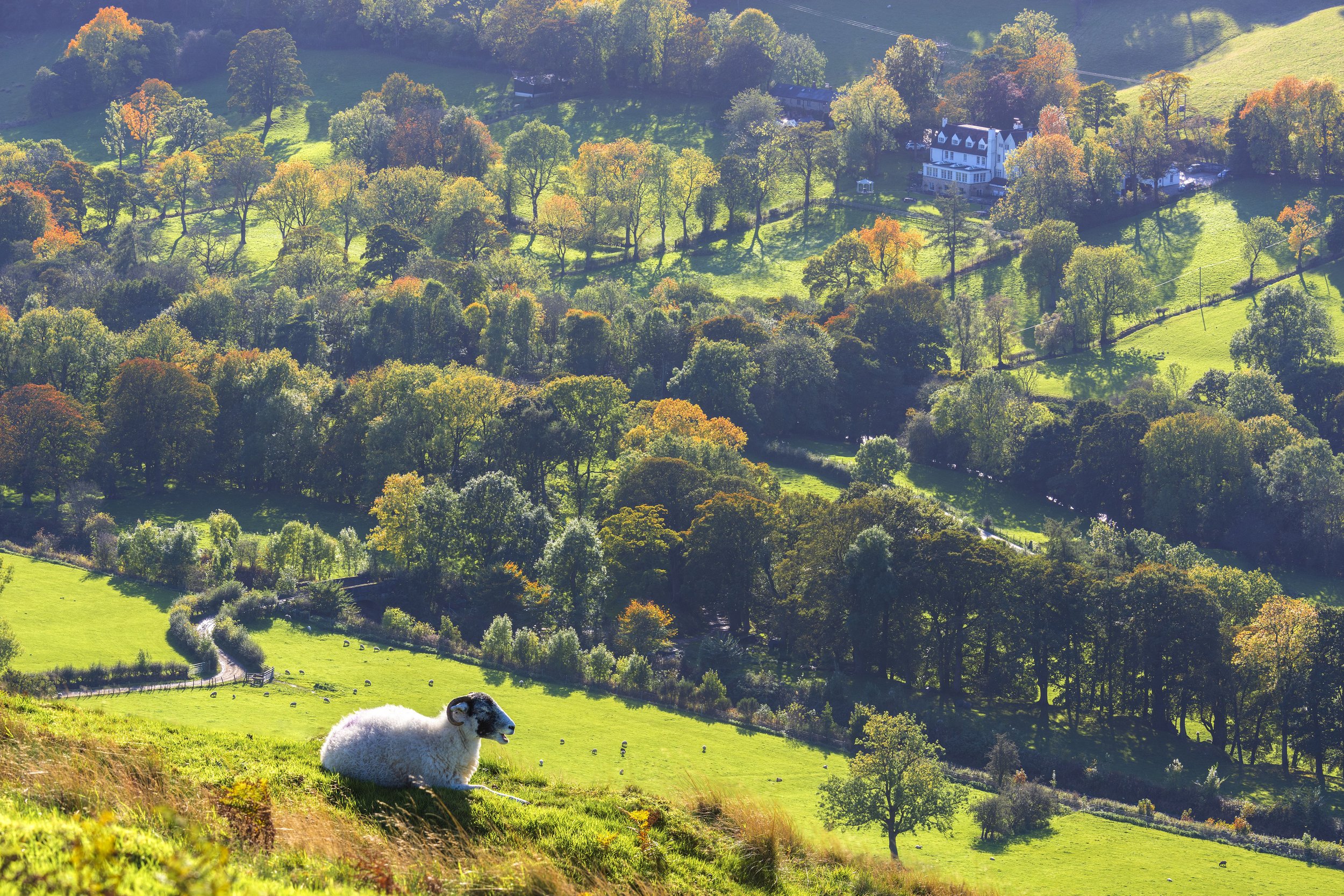 Losehill House Hotel & Spa — interior and exterior view 36