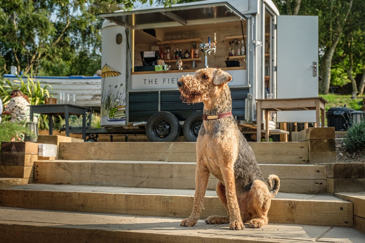The Ship at Dunwich — Dunwich, Suffolk