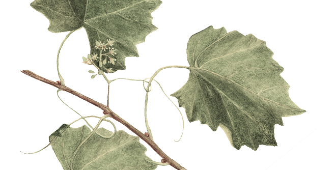 Louma Country Hotel — interior and exterior view 24