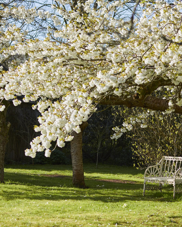 The Pig near Bath — interior and exterior view 34