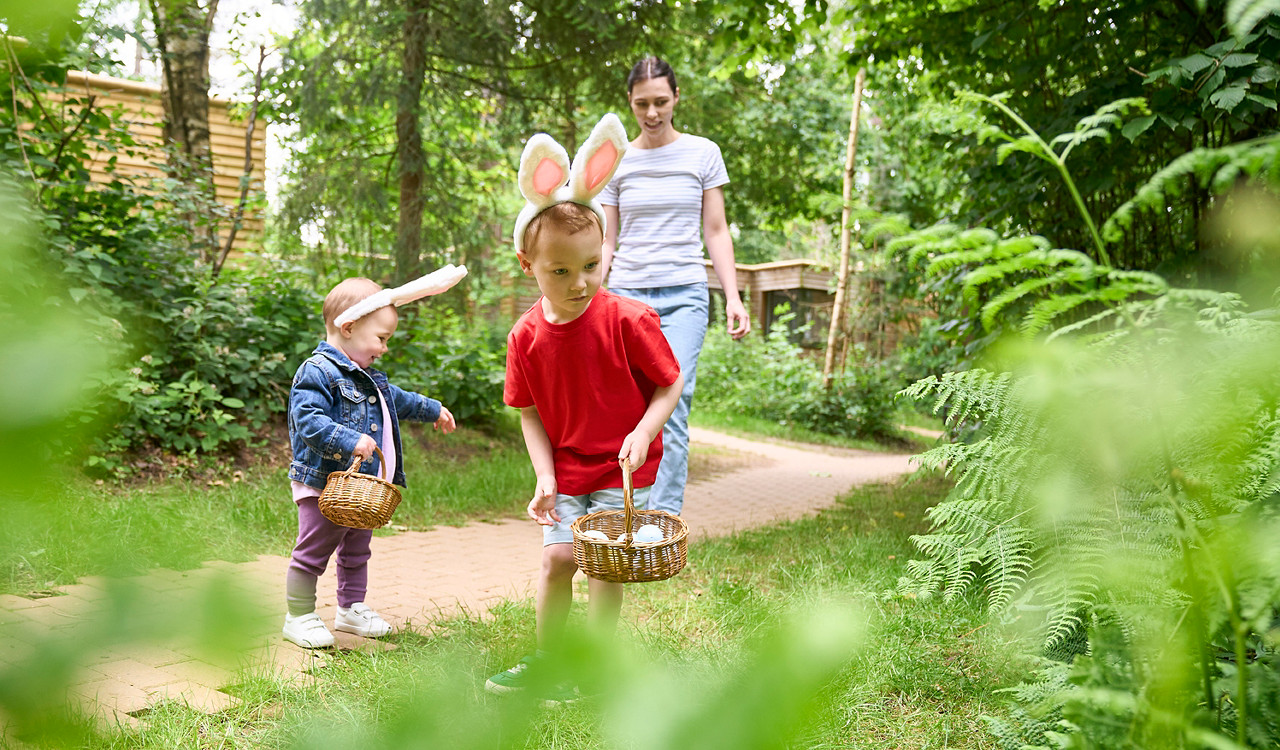 Center Parcs Treehouses — interior and exterior view 44