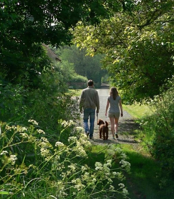 Magazine Wood — interior and exterior view 18