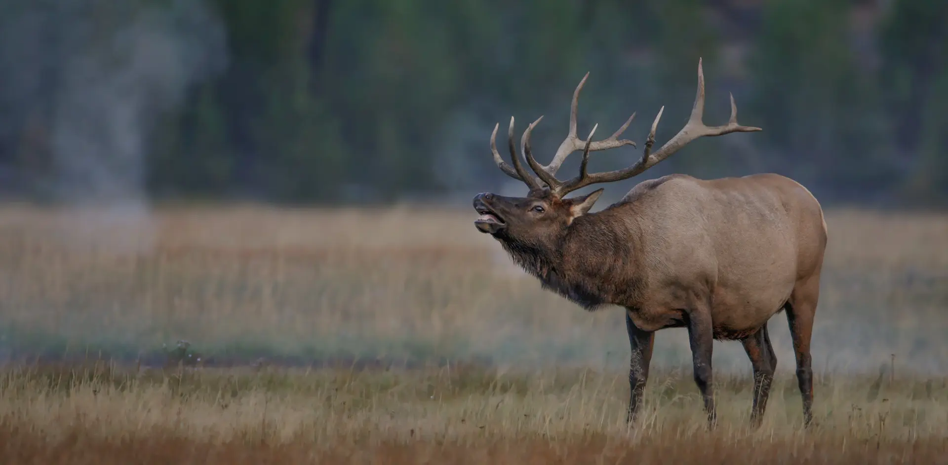 The Garden Cottage at Wilderness Reserve — interior and exterior view 3