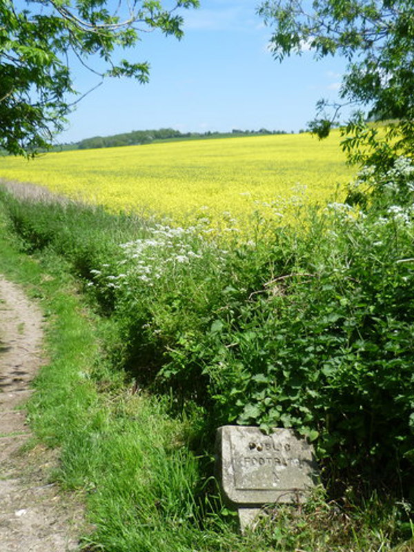 The Pig at Bridge Place — interior and exterior view 11