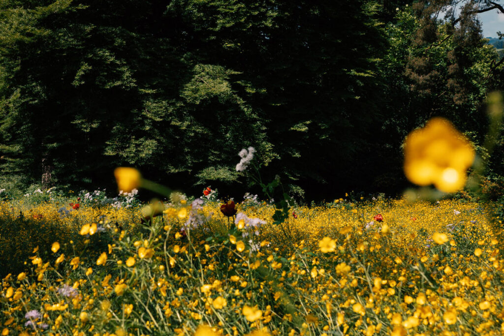 The Cavendish — interior and exterior view 20