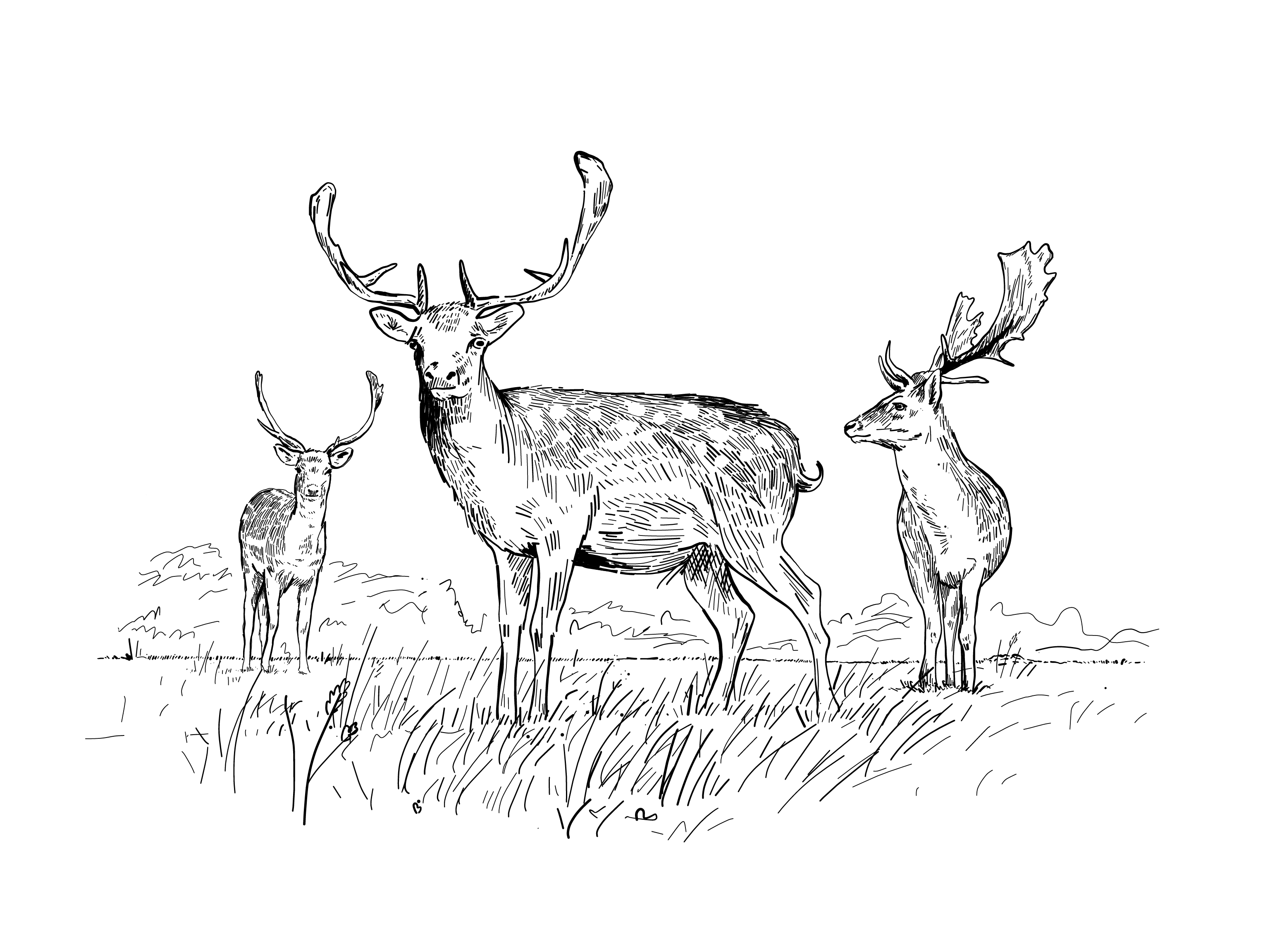 The Pig near Bath — interior and exterior view 9