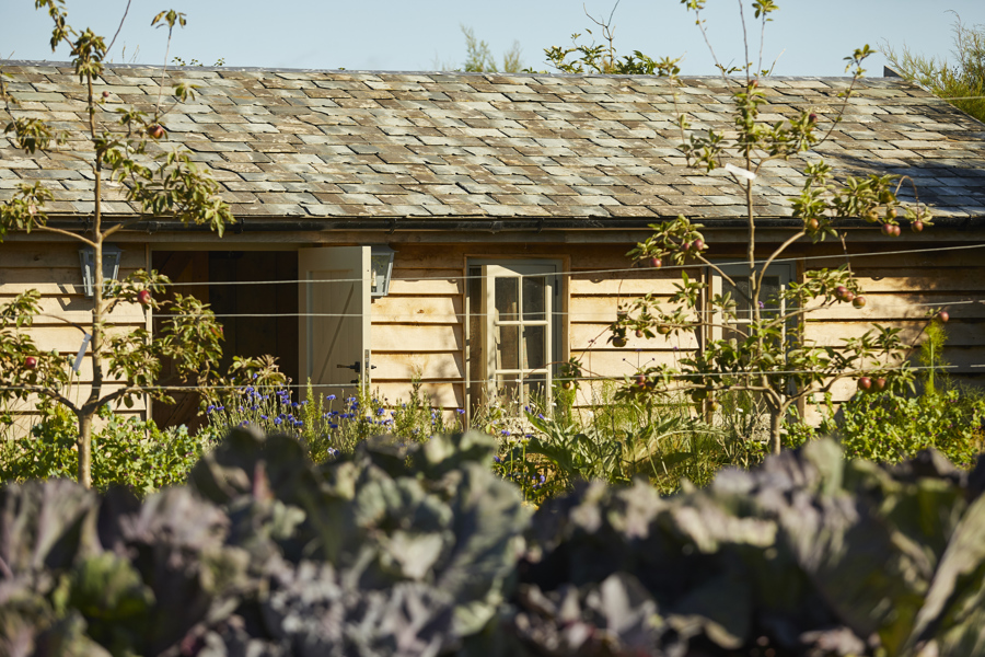 The Pig at Harlyn Bay — interior and exterior view 22