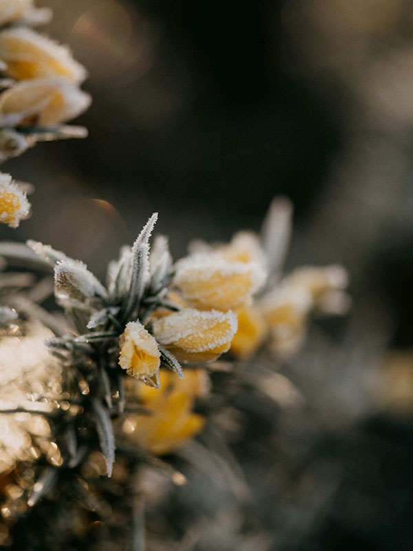 Gleneagles — interior and exterior view 22