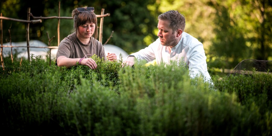 Forest Side — interior and exterior view 9