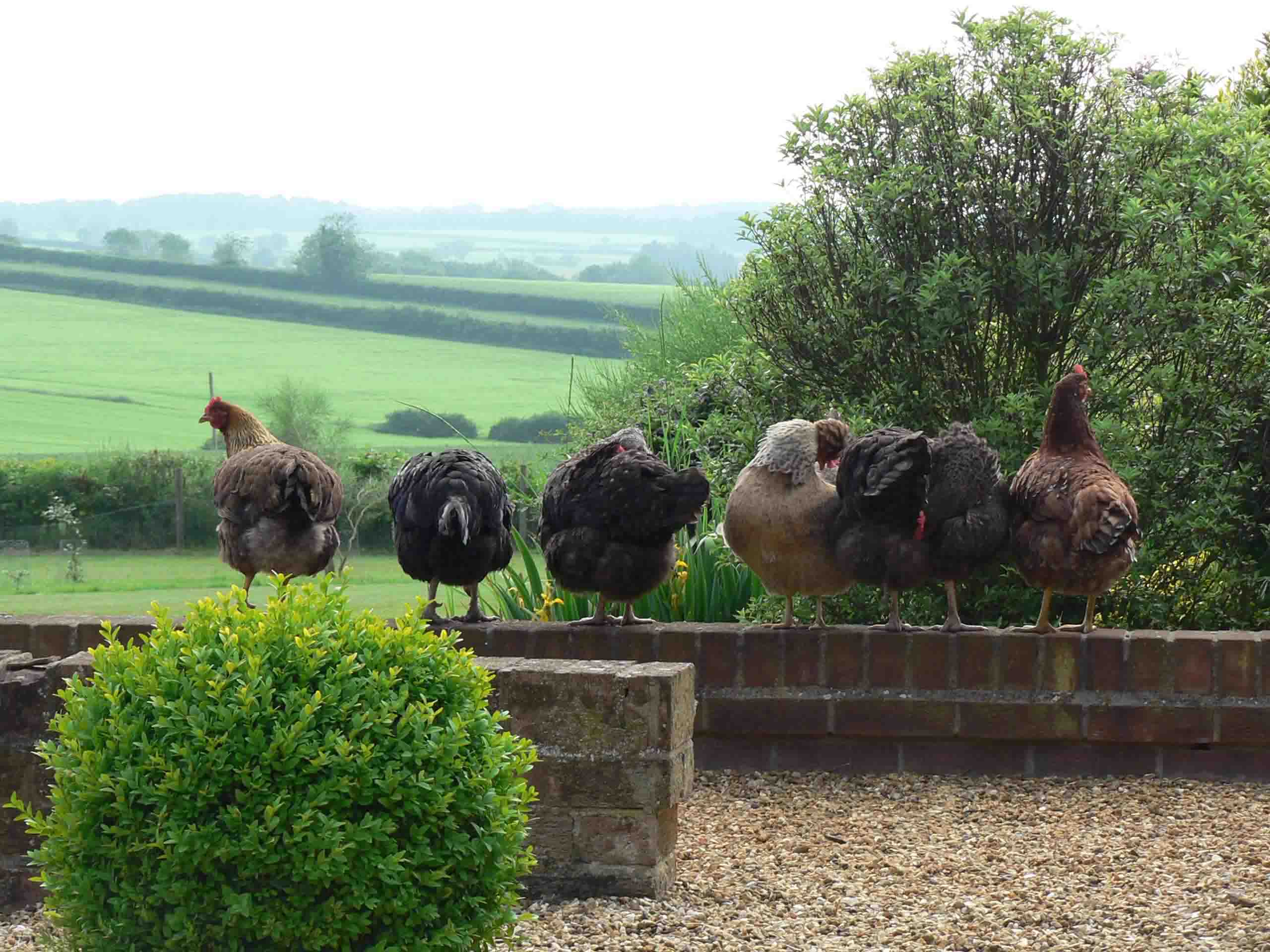 Magazine Wood — interior and exterior view 19