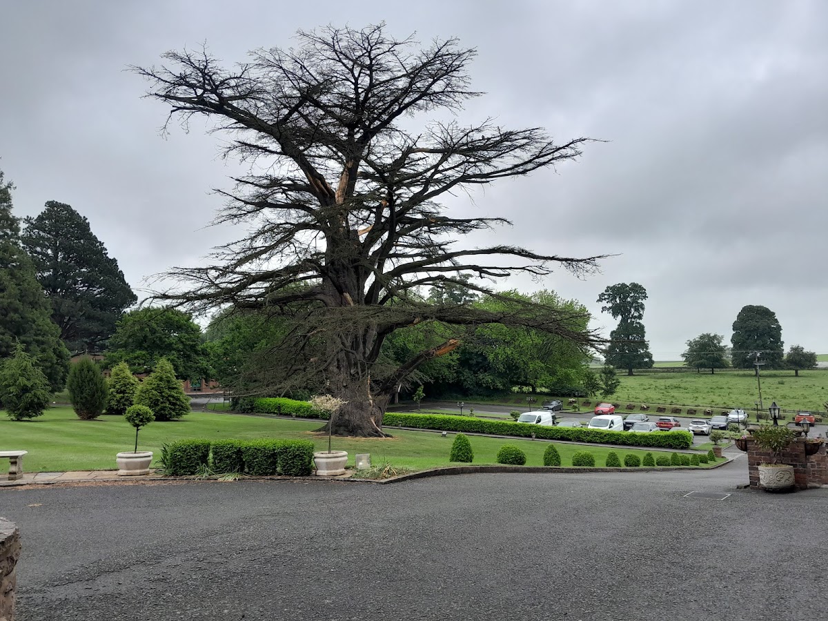 Rowton Castle — interior and exterior view 5