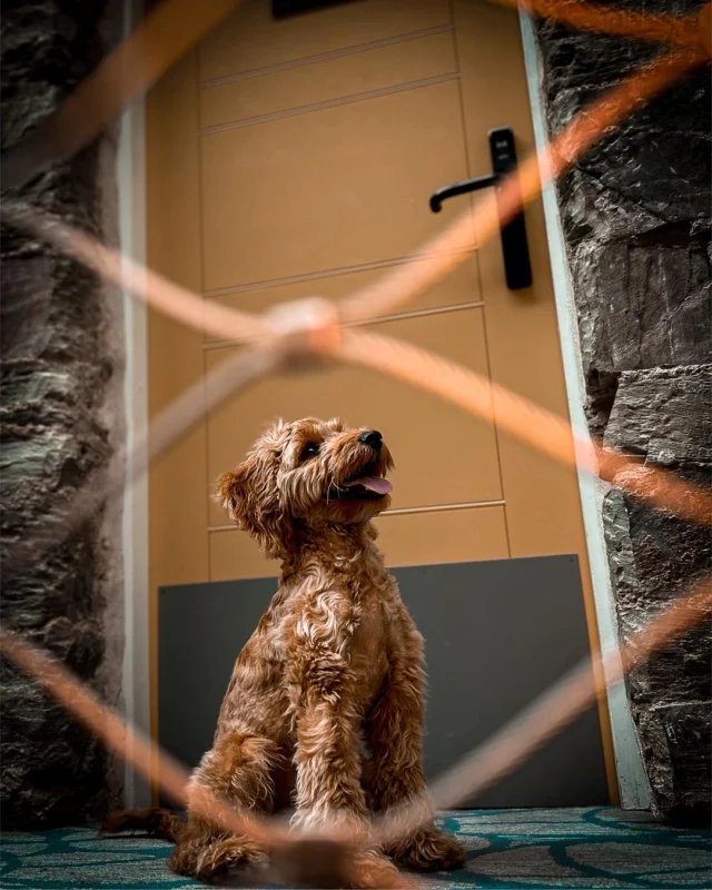 Bodmin Jail Hotel — interior and exterior view 28