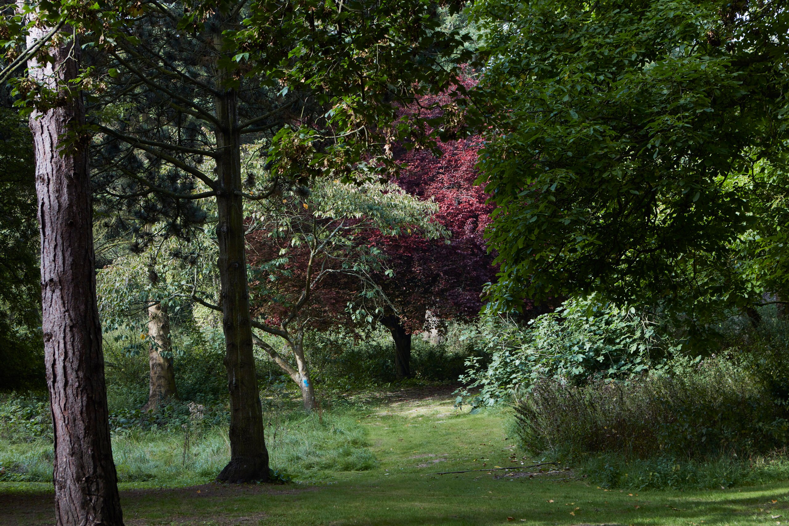 Updown Farmhouse — interior and exterior view 15