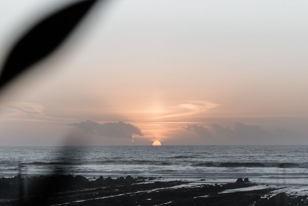 Gaia — interior and exterior view 82