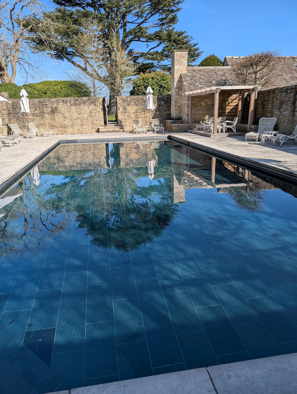 Thyme — interior and exterior view 3