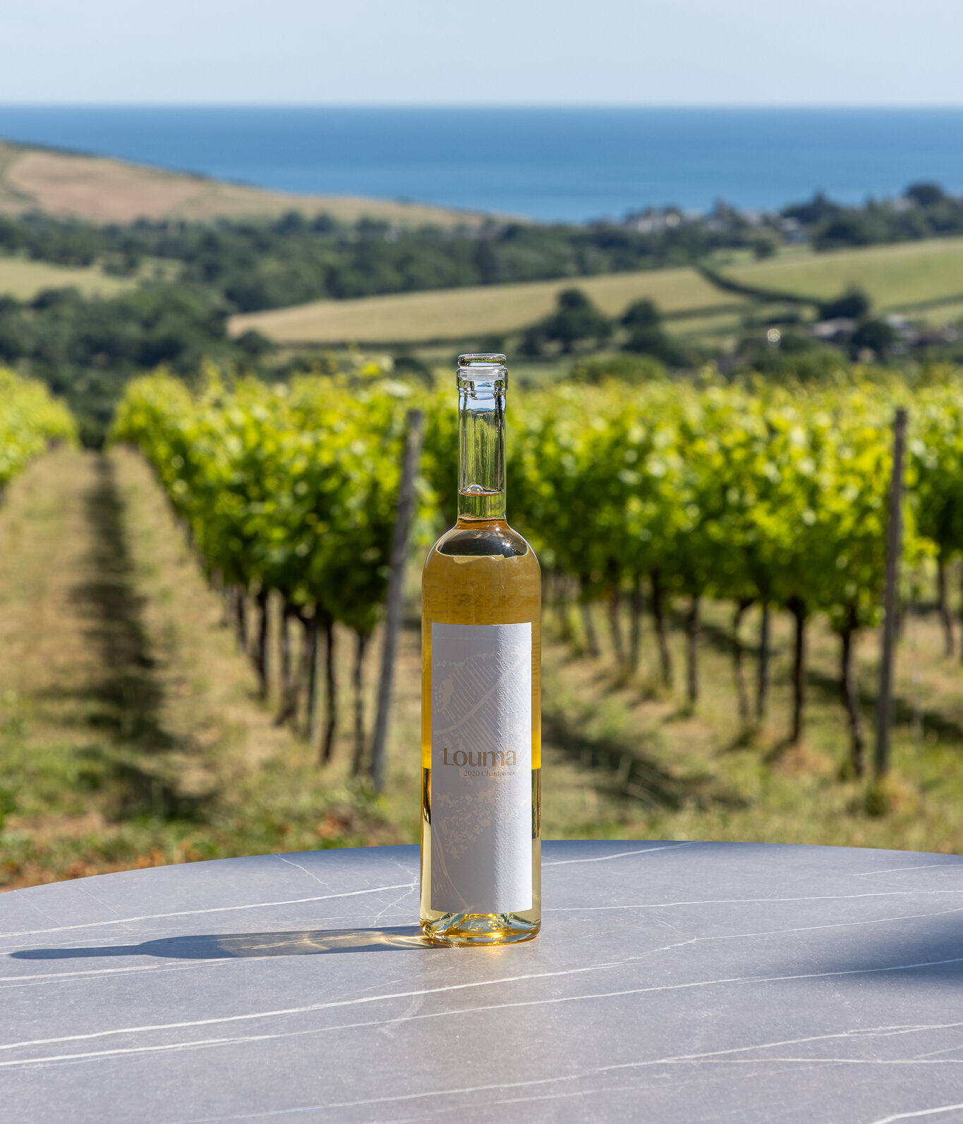 Louma Country Hotel — interior and exterior view 23