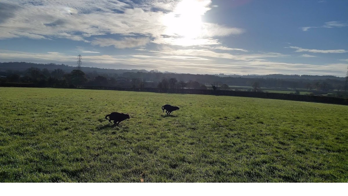 Winston at Unplugged — interior and exterior view 4