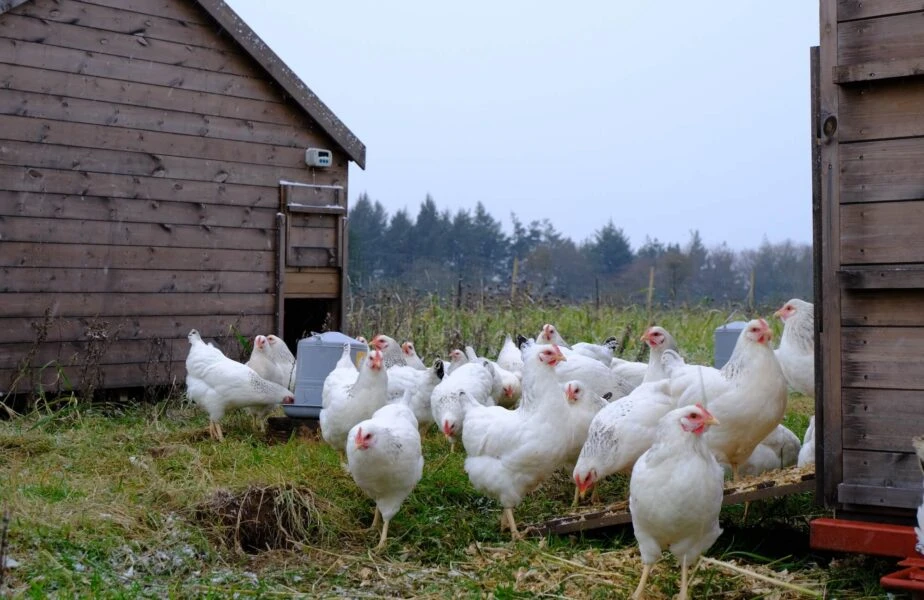 Louma Country Hotel — interior and exterior view 28