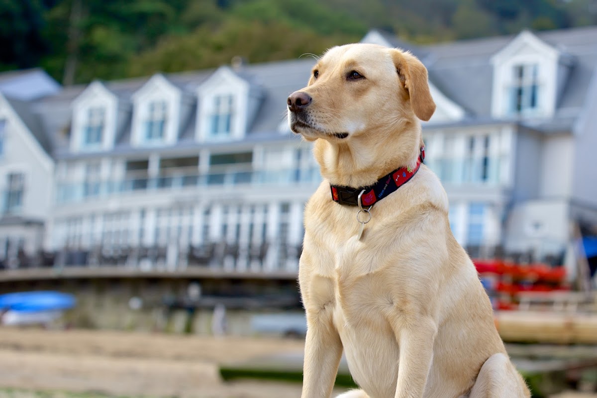 South Sands Hotel — interior and exterior view 4