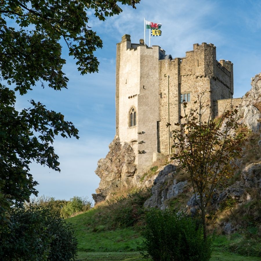 Roch Castle Hotel — interior and exterior view 21