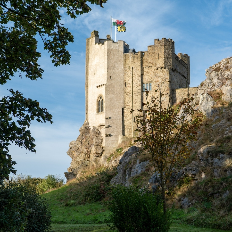 Roch Castle Hotel — interior and exterior view 16