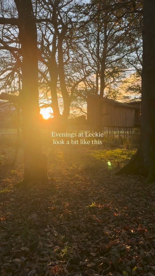 Lanrick Treehouses — interior and exterior view 17