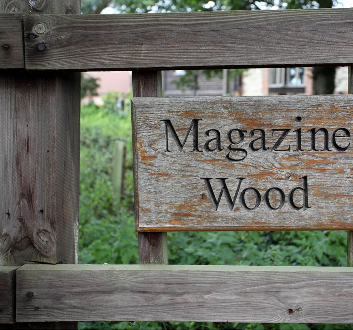 Magazine Wood — interior and exterior view 23
