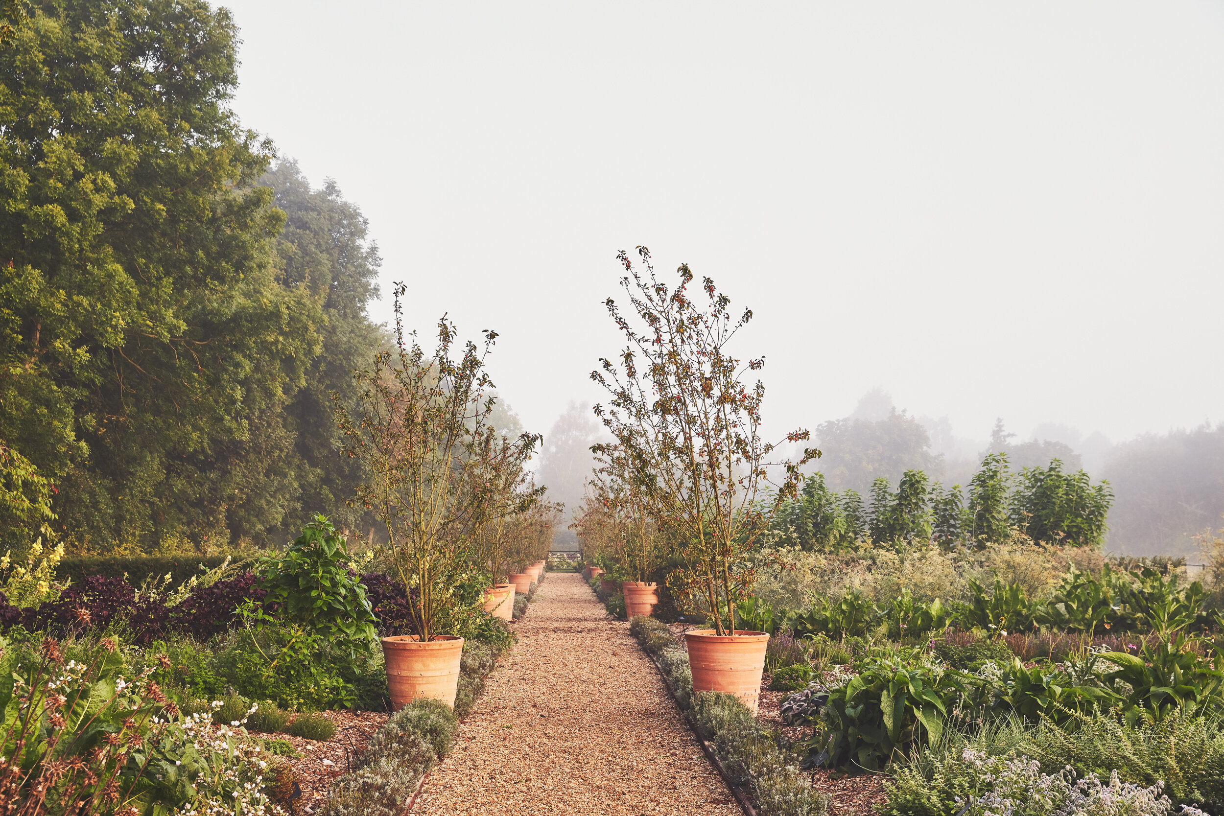 Thyme — interior and exterior view 7