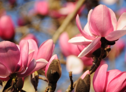 The Nare — interior and exterior view 12