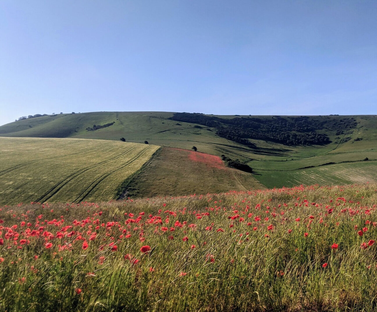 The Granary Barn — interior and exterior view 43