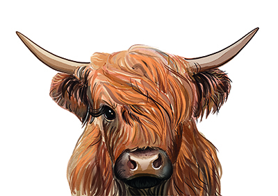 Loch Melfort Hotel — interior and exterior view 7