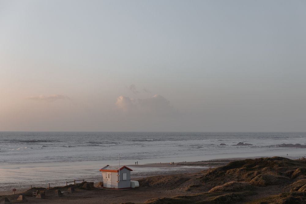 Gaia — interior and exterior view 58