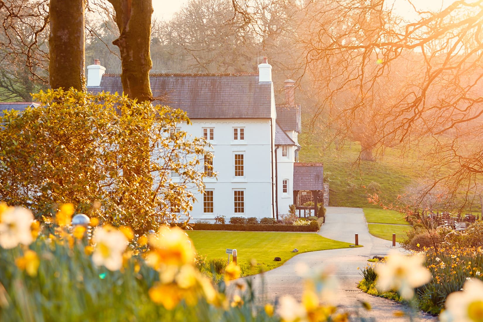 Grove of Narberth — interior and exterior view 7