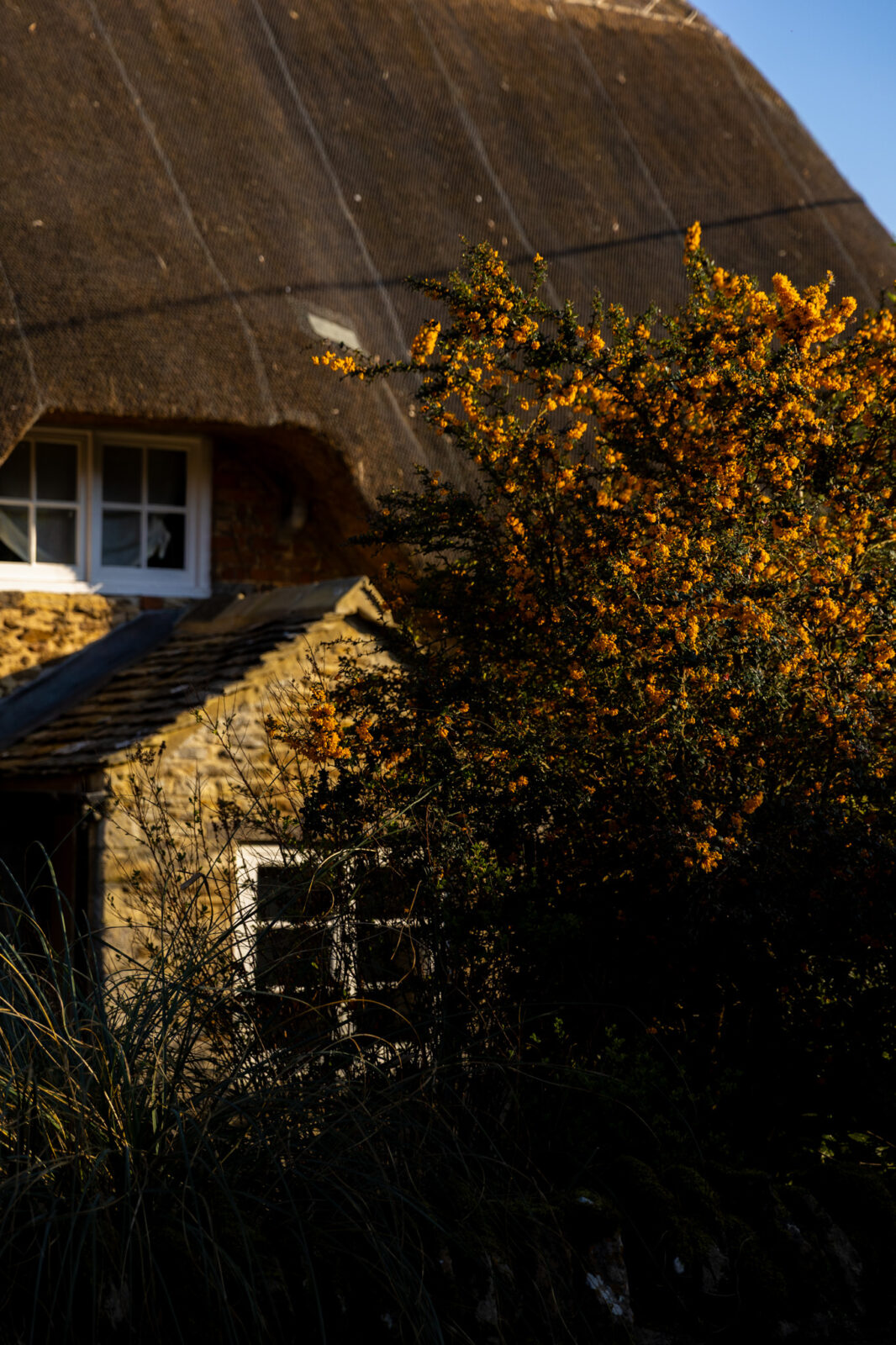 Mollie's Cottage — interior and exterior view 60