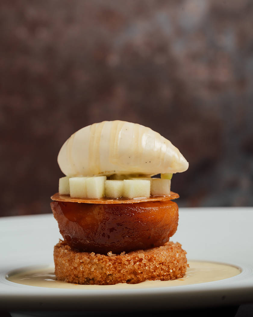 The Manor House — interior and exterior view 15