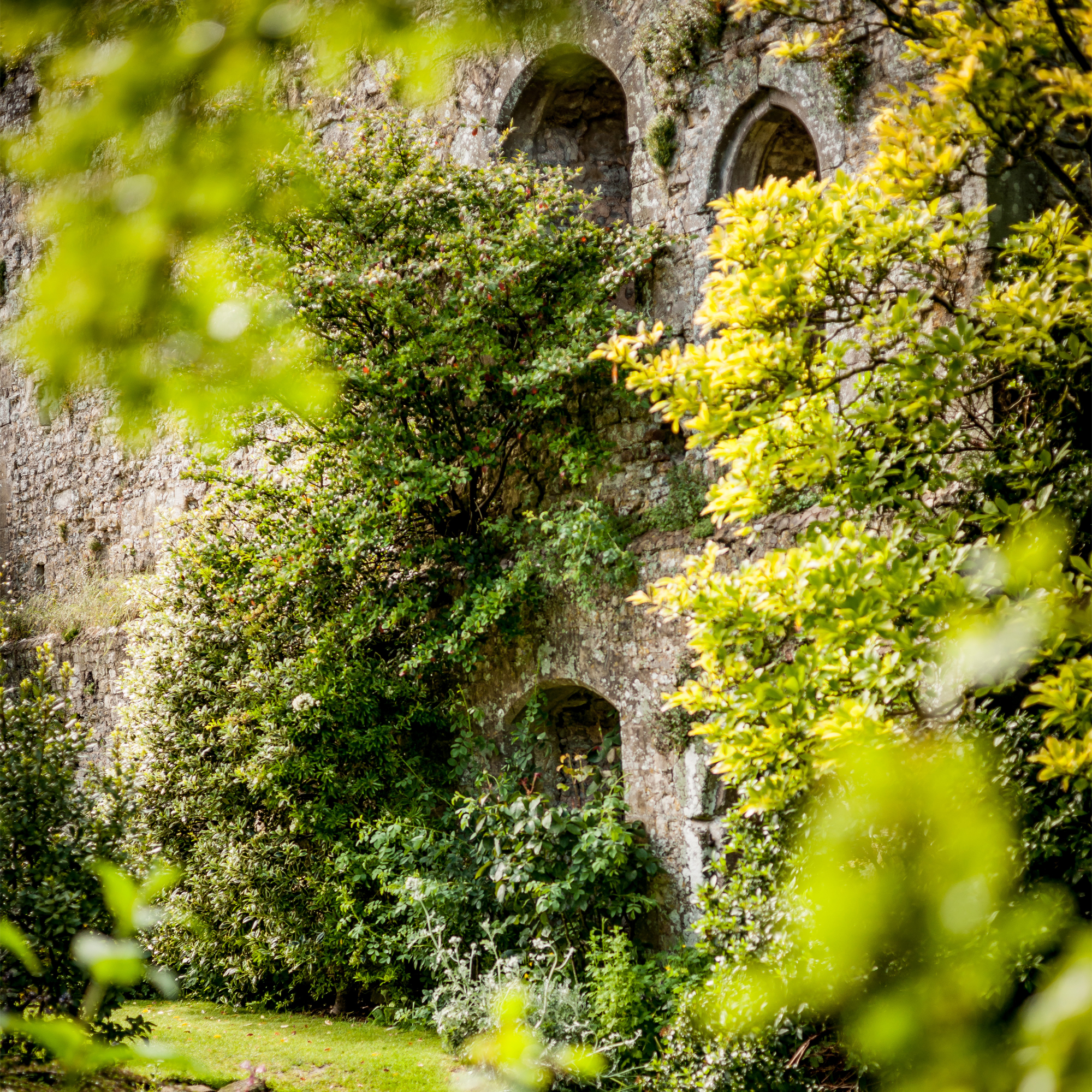 Amberley Castle — interior and exterior view 8